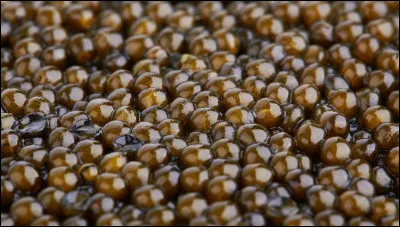 Un silure peut pondre environ ___ ufs.