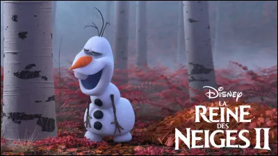 Dans le Disney "La Reine des neiges", lequel de ces personnages détient le pouvoir de créer et contrôler la neige et la glace ?