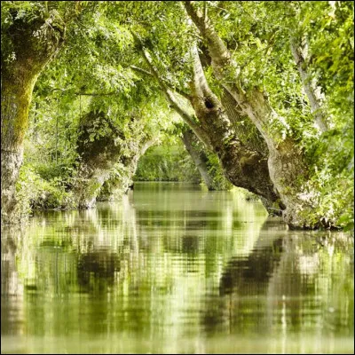 Quelle est cette région naturelle humide qui borde le département au sud-ouest ?