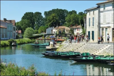 Quelles sont les deux rivières nommées Sèvre qui ont donné leur nom au département ?