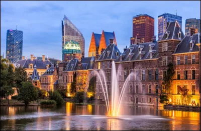 Dans quelle ville se situent, entre autres, le Parlement et le Gouvernement ?