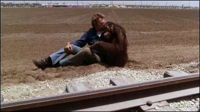 "Doux, dur et dingue" est le titre d'un long-métrage joué par Jackie Chan.