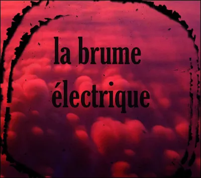 "Dans la brume électrique" est le titre d'un film interprété par Romain Duris.