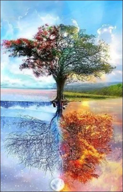 Quelle est ta saison préférée ?