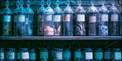 Tu arrives enfin à Poudlard ! Quelle matière aimerais-tu commencer ?