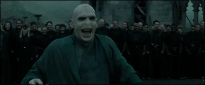 Que penses-tu de Voldemort ?