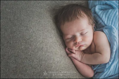 En quelle année est né Marcel André ?