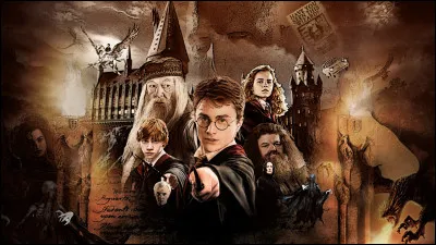 Dans quelle maison atterrit Harry Potter ?