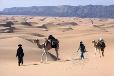 Quelle est la superficie approximative du Niger ?