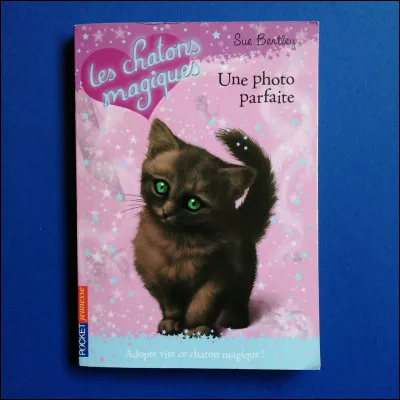 Imaginons que tu choisisses de lui expliquer qu'il ne pouvait pas se balader sur ton territoire et qu'il te répond froidement que tu n'es pas son chef et que tu ne peux pas lui donner d'ordres. (Seule photo que j'ai trouvée, pardon)