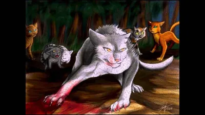 Imaginons que tu le ramènes à son clan et que les guerriers du Clan de l'Ombre croient que tu veux du mal au chaton et t'attaquent.