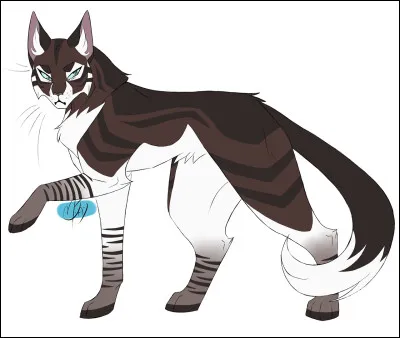 Après la veillée le chef élit un nouveau lieutenant : ton frère, Aile du Monarque ! Comment réagis-tu ?