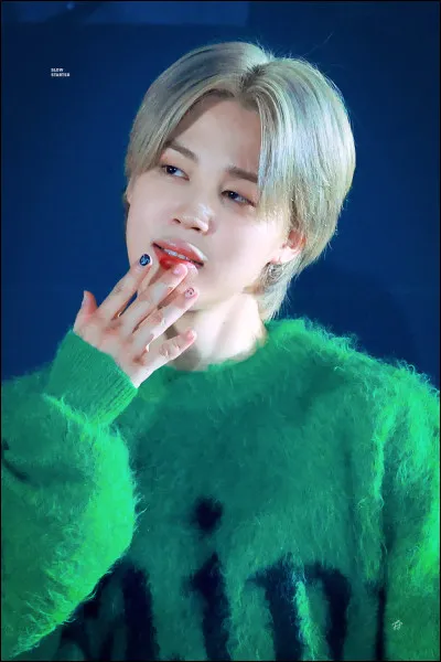 Quel âge a Jimin en septembre 2024 ?