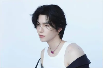 Qui est ce membre des BTS ?