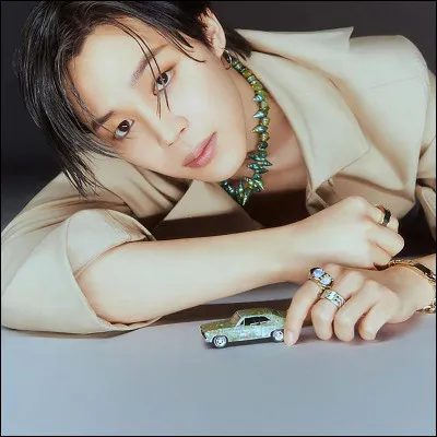 Qui est ce membre des BTS ?