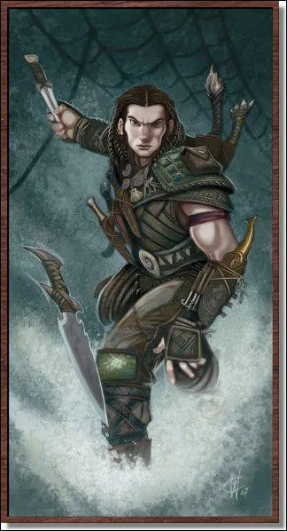 A quel type de catgorie appartient la classe 'voleur' ?