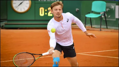 Le tennisman David Goffin est né à Liège.