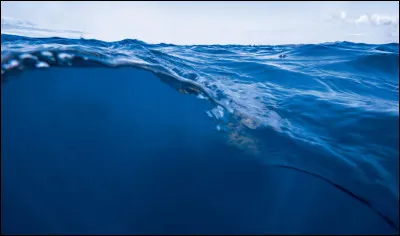 Quel océan est souvent surnommé le "grand bleu" ?