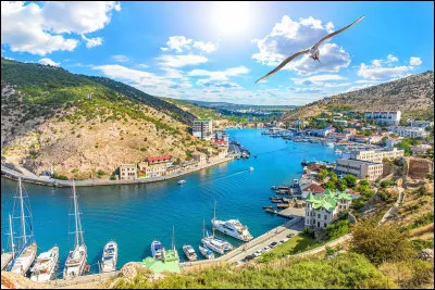 Quelle région d'Europe de l'Est est associée au Congo dans le nom d'une fièvre hémorragique d'origine virale endémique en Afrique subsaharienne et dans certaines régions d'Europe de l'Est, du Moyen-Orient et d'Asie centrale ?