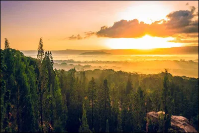 De quoi le virus zika, transmis par le moustique-tigre et que l'on commence à voir débarquer dans nos régions, tire-t-il son nom ?