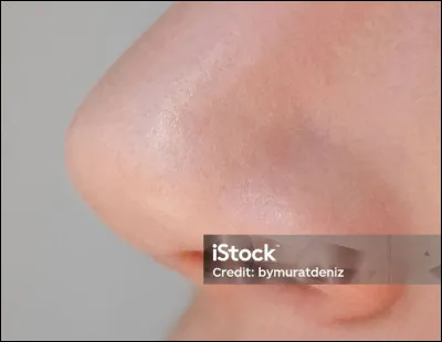 Est-ce que notre nez grandit ?