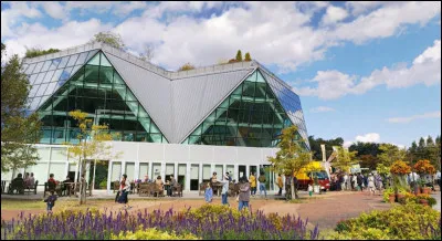 Nous sommes ici à Ichinomiya, dans la banlieue de Nagoya. Dans quel pays peut-on voir ces magnifiques fleurs ?