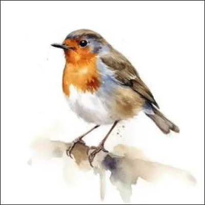 Et pour finir, quel est ce petit oiseau ?