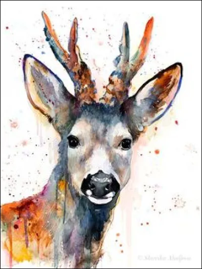 Quel est cet animal ?