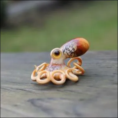 Comment s'appelle cet animal ?