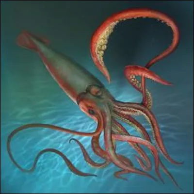 Il peut être géant, comment s'appelle-t-il ?