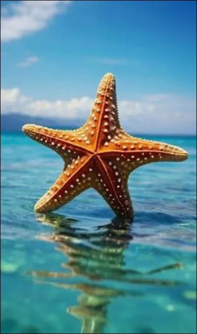 Quel est cet animal marin ?