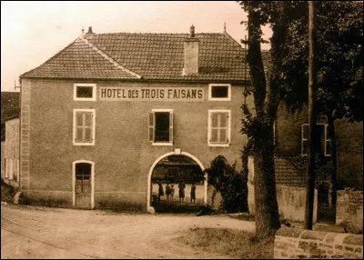 Et c'est vers minuit, Monsieur le commissaire - Qu'en sortant de l'hôtel des Trois Faisans ...