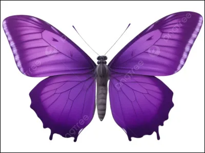 Comment dit-on "pourpre" en espagnol ?