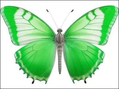 Comment dit-on "vert" en espagnol ?