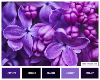Comment dit-on "violet" en espagnol ?