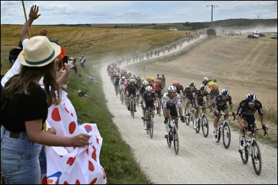 Lequel de ces cyclistes français n'a jamais remporté le Tour de France ?