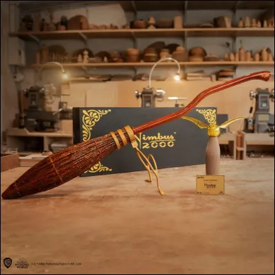 Quel est son poste au quidditch ?