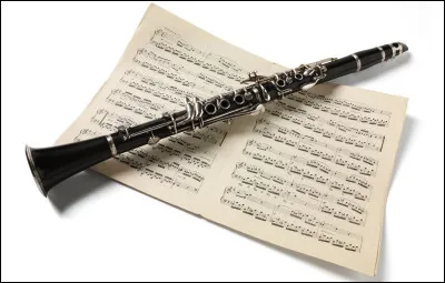 Quel est cet instrument ?