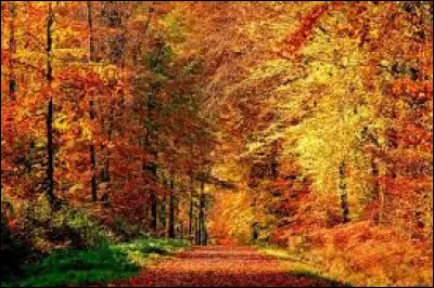 A quel âge François Ier est-il décédé ?