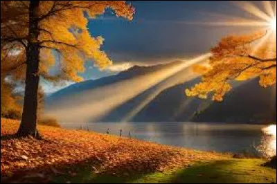 Dans quel arrondissement de Paris se situe le musée du Louvre ?