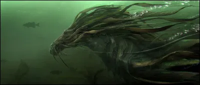 Savez-vous comment le Kelpy capture sa proie préférée, l'humain ?