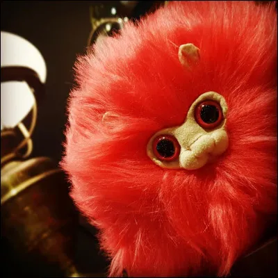 Il est mignon, le Boursouflet de Ginny ! Mais, comment s'appelle le Boursouflet lorsqu'il est adulte ?