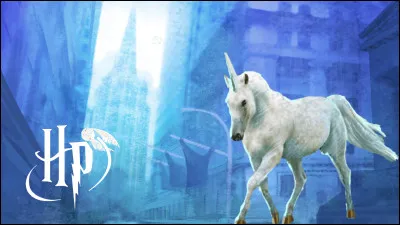 Comment est le pelage du Poulain-licorne avant d'atteindre sa couleur définitive ?