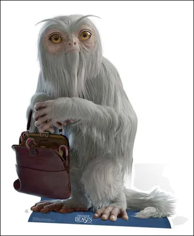 Pourquoi la Demiguise est-elle très dure à repérer ?