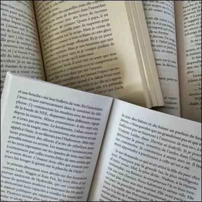 Si tu as choisi les livres, quel genre littéraire préfères-tu ?