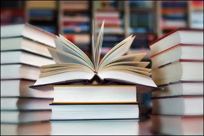 Si tu as choisi les livres, quel genre litt&eacute;raire pr&eacute;f&egrave;res-tu ?