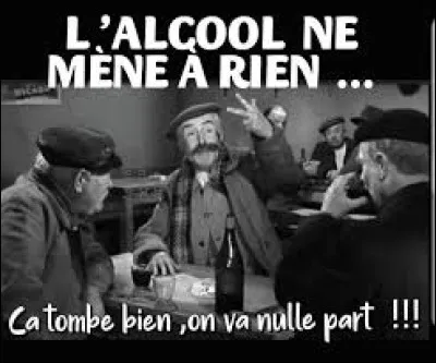 Quel pays est le plus gros consommateur d'alcool au monde avec 17,5 litres bus par an et par habitant ?