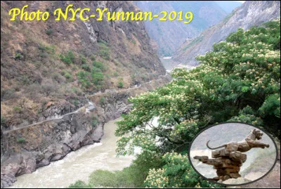 Quelles sont ces gorges situées sur le fleuve Yangtsé dans la province chinoise du Yunnan près de la ville de Lijiang ?