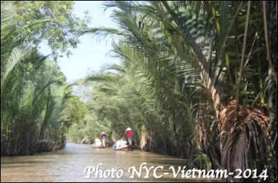 Quels sont ces petits cours d'eau à faibles débits du Vietnam qui forment un inextricable réseau dans la région du delta du Mékong ?
