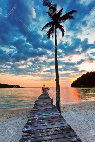 Quest-ce qui est le plus important pour toi ?